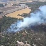 Incendio declarado en el municipio de Moguer (Huelva)