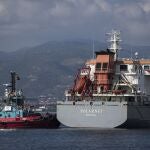 El carguero Polarnet llega al puerto de Derince en el Golfo de Izmit, Turquía, hoy