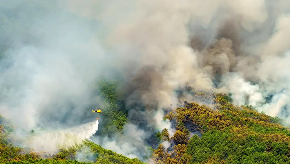 SANTA CRUZ DE VALLE (ÁVILA), 08/08/2022.- Medios aéreos trabajan este lunes para apagar el fuego declarado el pasado viernes en Santa Cruz del Valle (Ávila) a pocos kilómetros de la localidad de Pedro Bernardo en Ávila. El fuego está aún sin control ni estabilización y, aunque la situación ha mejorado en las últimas horas y no hay casi foco activo, los técnicos tienen temor a posibles reproducciones de la llama como consecuencia de las elevadas temperaturas y la orografía. EFE/ Raúl Sanchidrián