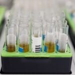 Probetas de pruebas PCR para la viruela del mono