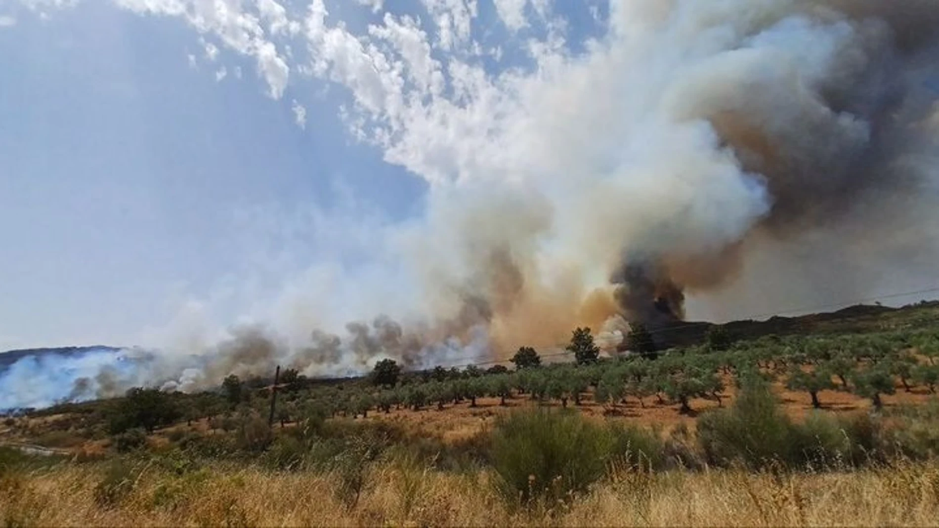 Incendio en Santibáñez el Alto (Cáceres)