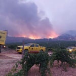 Cien personas trabajan este sábado en la extinción de un incendio forestal iniciado esta madrugada en el paraje La Patoja, de Jumilla, próximo a la comunidad de Castilla-La Mancha,