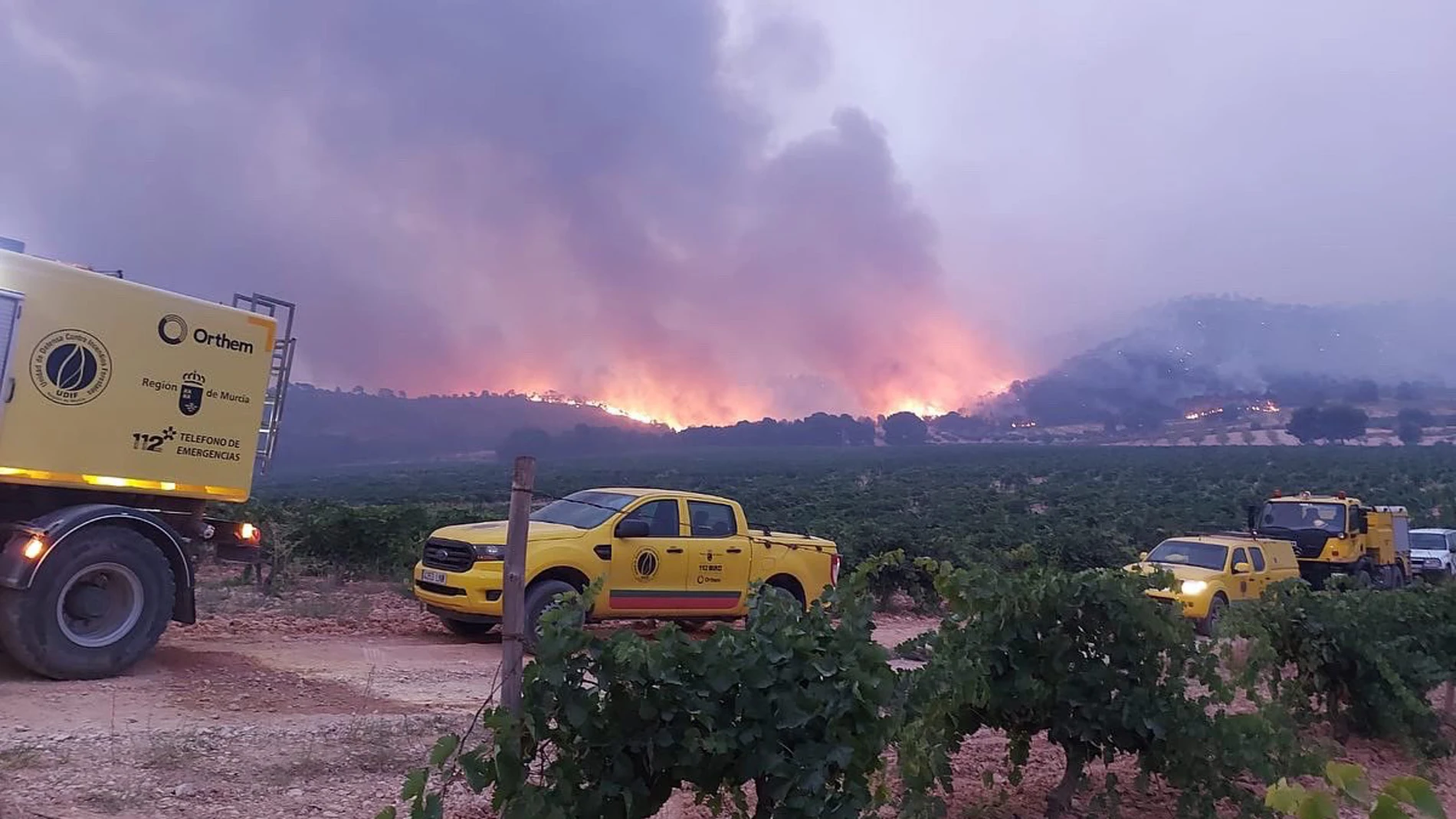 Cien personas trabajan este sábado en la extinción de un incendio forestal iniciado esta madrugada en el paraje La Patoja, de Jumilla, próximo a la comunidad de Castilla-La Mancha,