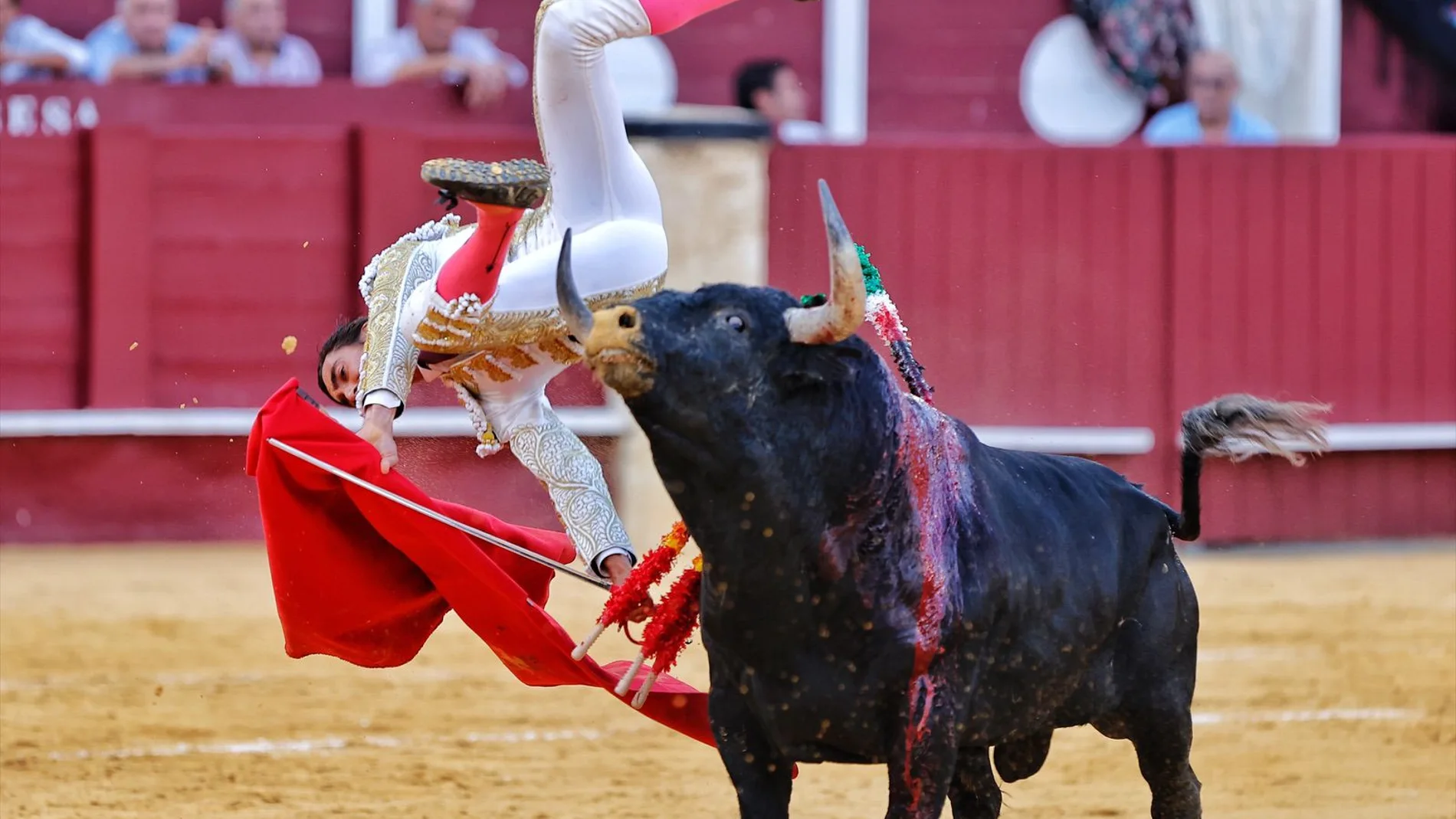 El diestro Ángel Téllez con su primer toro en el tercer festejo de la feria taurina de Málaga