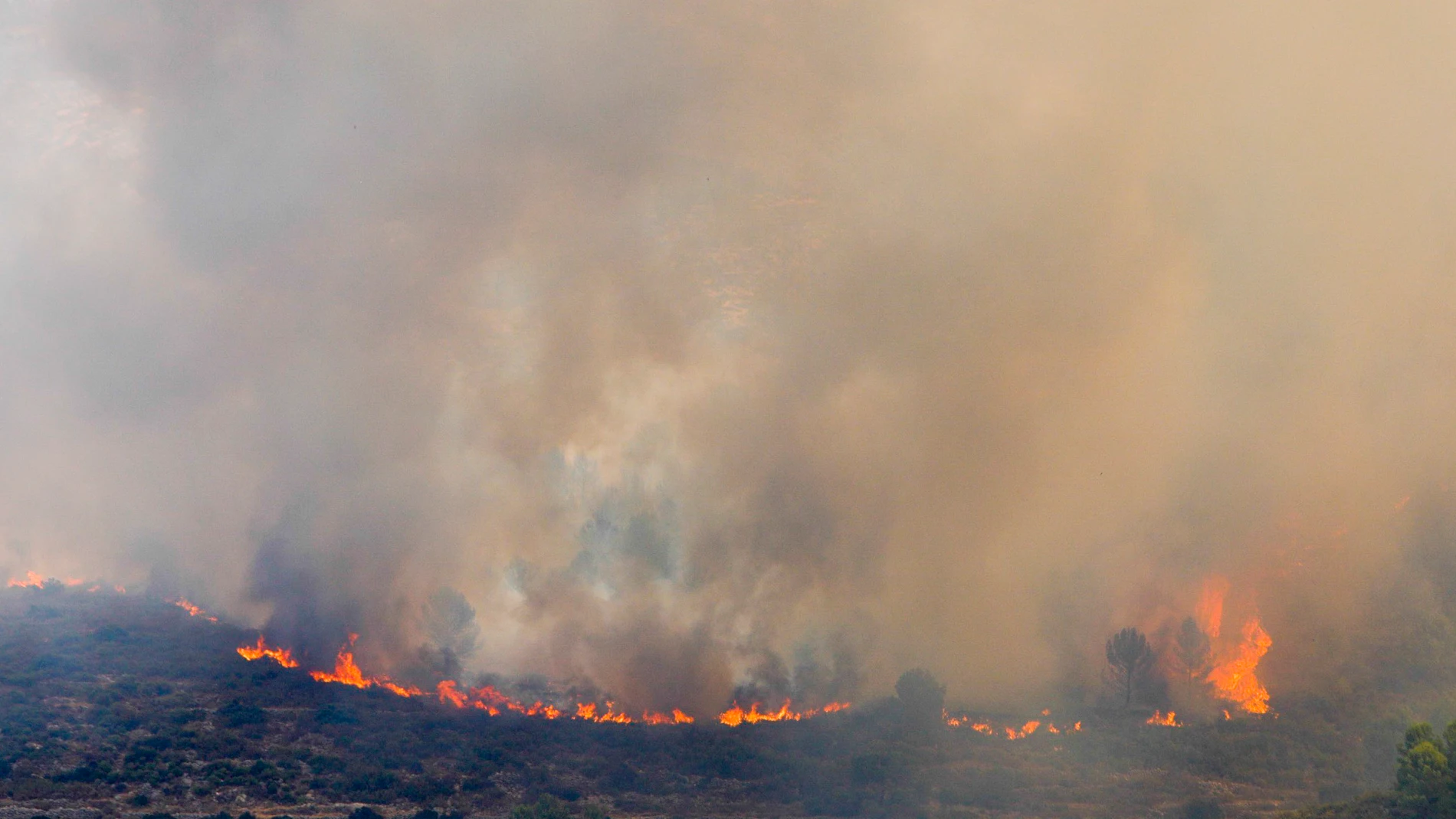 El incendio forestal de Vall d'Ebo (Alicante) se ha estabilizado tras quemar más de 12.000 hectáreas
