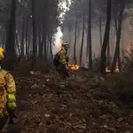 Incendios en la Sierra de la Culebra, en Zamora, el 16 de junio de 2022. EMILIO FRAILE / EUROPA PRESS (Foto de ARCHIVO) 16/06/2022