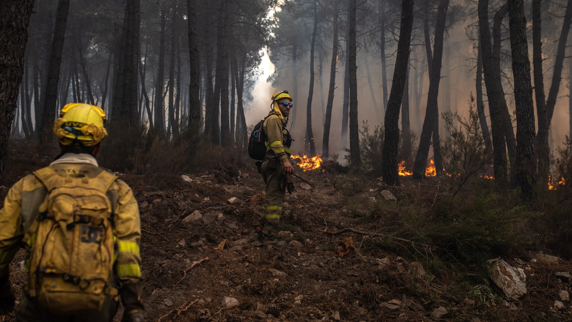 Incendios en la Sierra de la Culebra, en Zamora, el 16 de junio de 2022. EMILIO FRAILE / EUROPA PRESS (Foto de ARCHIVO) 16/06/2022