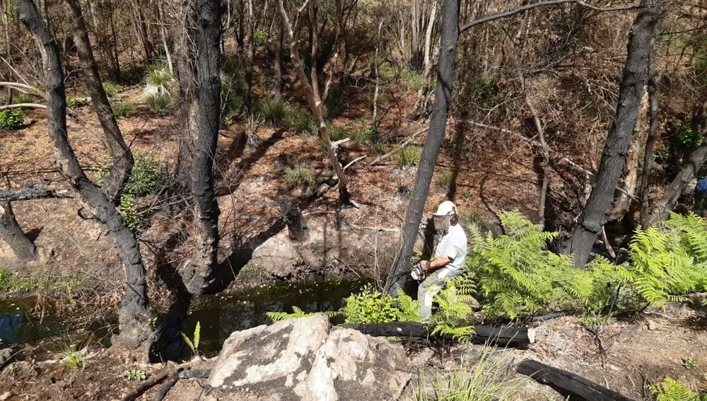 Actuaciones en cauces afectados por el Incendio Sierra La Culebra