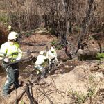 Actuaciones en cauces afectados por el Incendio Sierra La Culebra