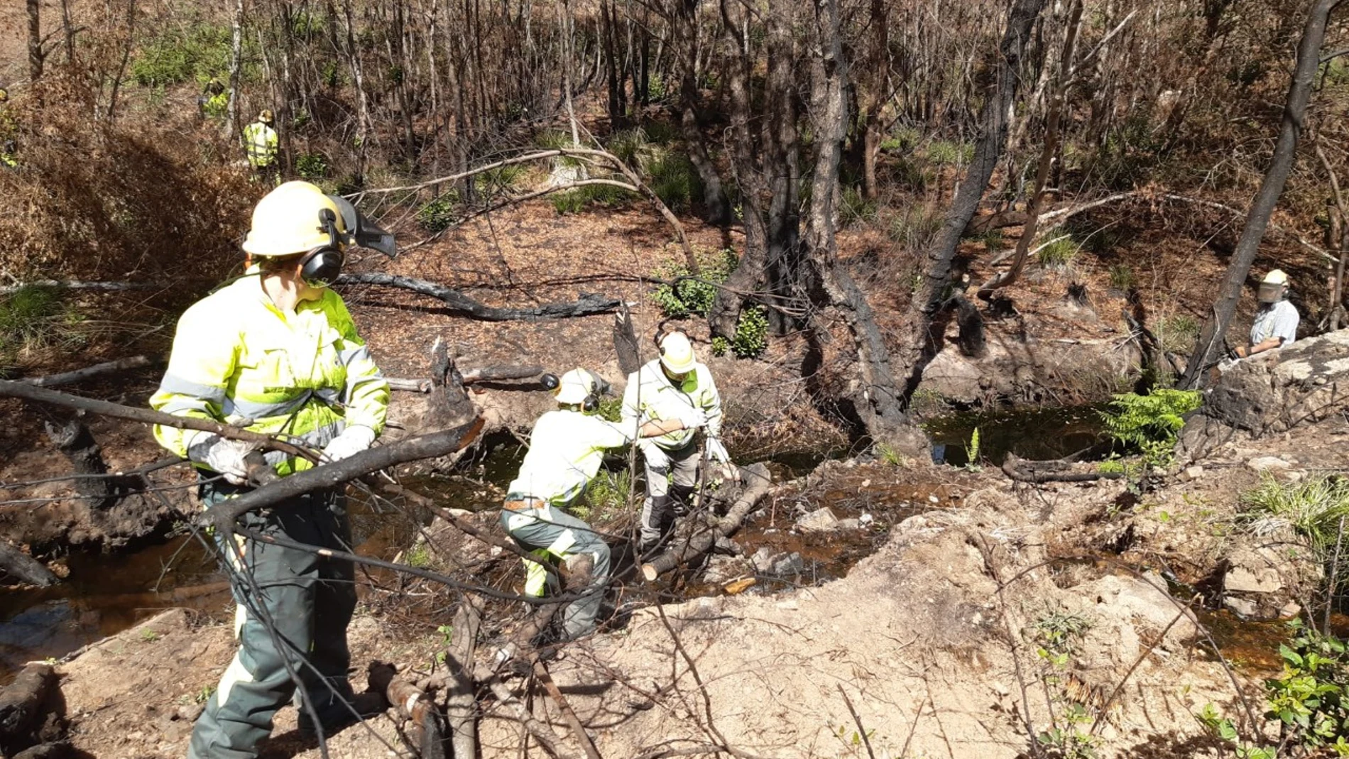 Actuaciones en cauces afectados por el Incendio Sierra La Culebra