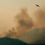 Imagen del incendio en la Vall d'Ebo, cerca de Petrer