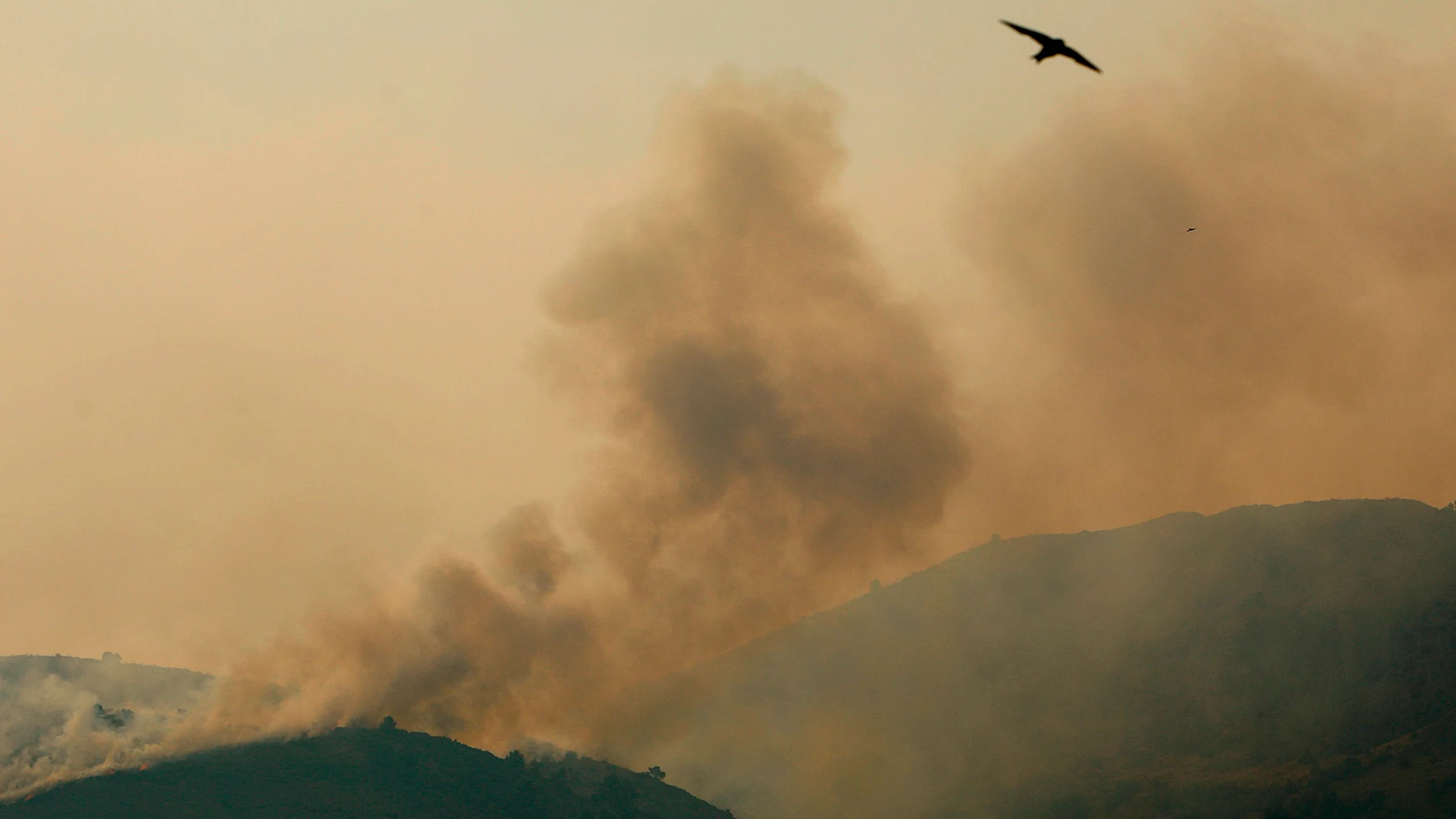 Imagen del incendio en la Vall d'Ebo, cerca de Petrer