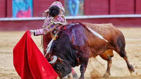 Roca Rey, en un soberbio pase de pecho en La Malagueta