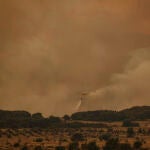 Las lluvias durante la tarde han dado una tregua en los incendios en Vall d'Ebo y Bejís