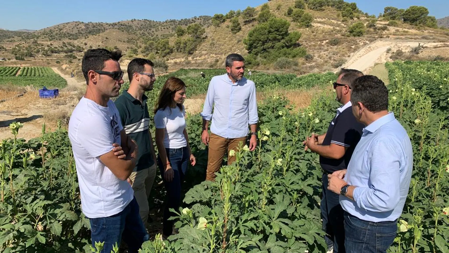 El consejero Antonio Luengo y el alcalde de Abanilla, José Antonio Blasco, durante su visita a la plantación de okra