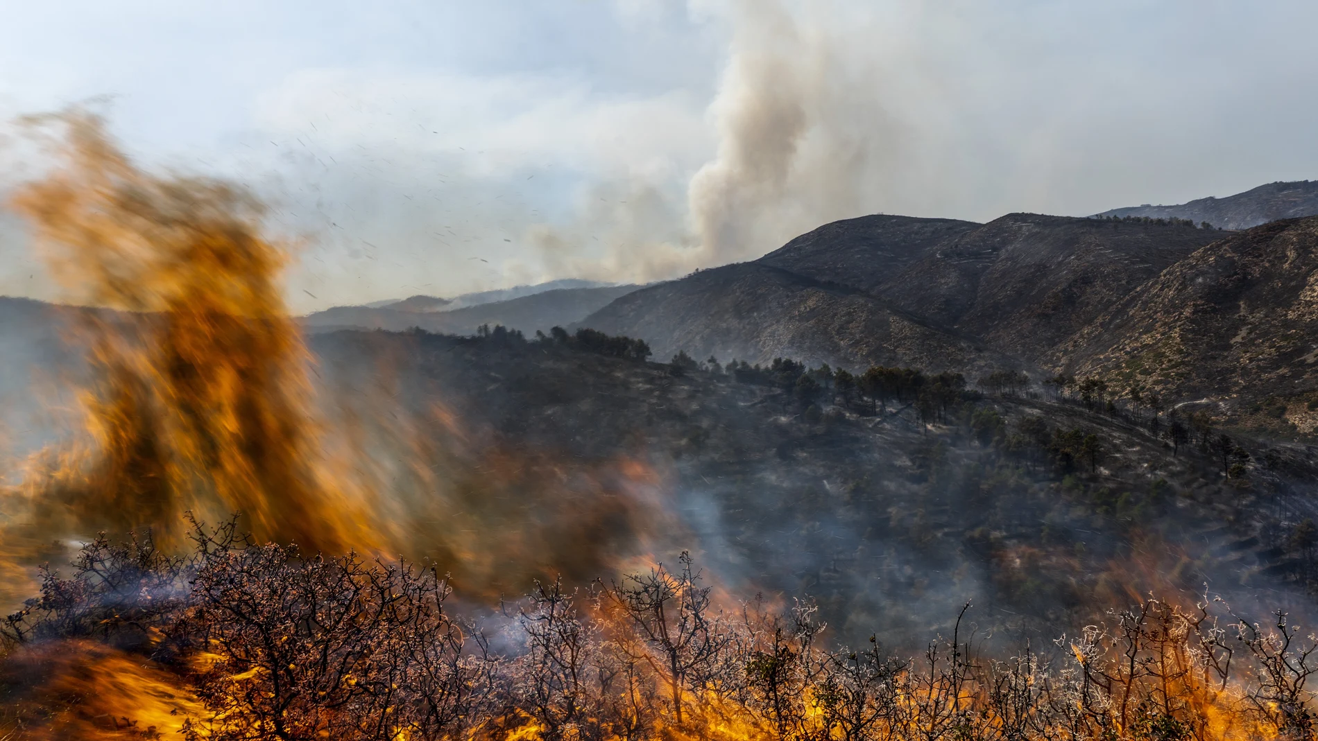 Las llamas del incendio de Bejís han llegado hasta el municipio de Altura, en Castellón