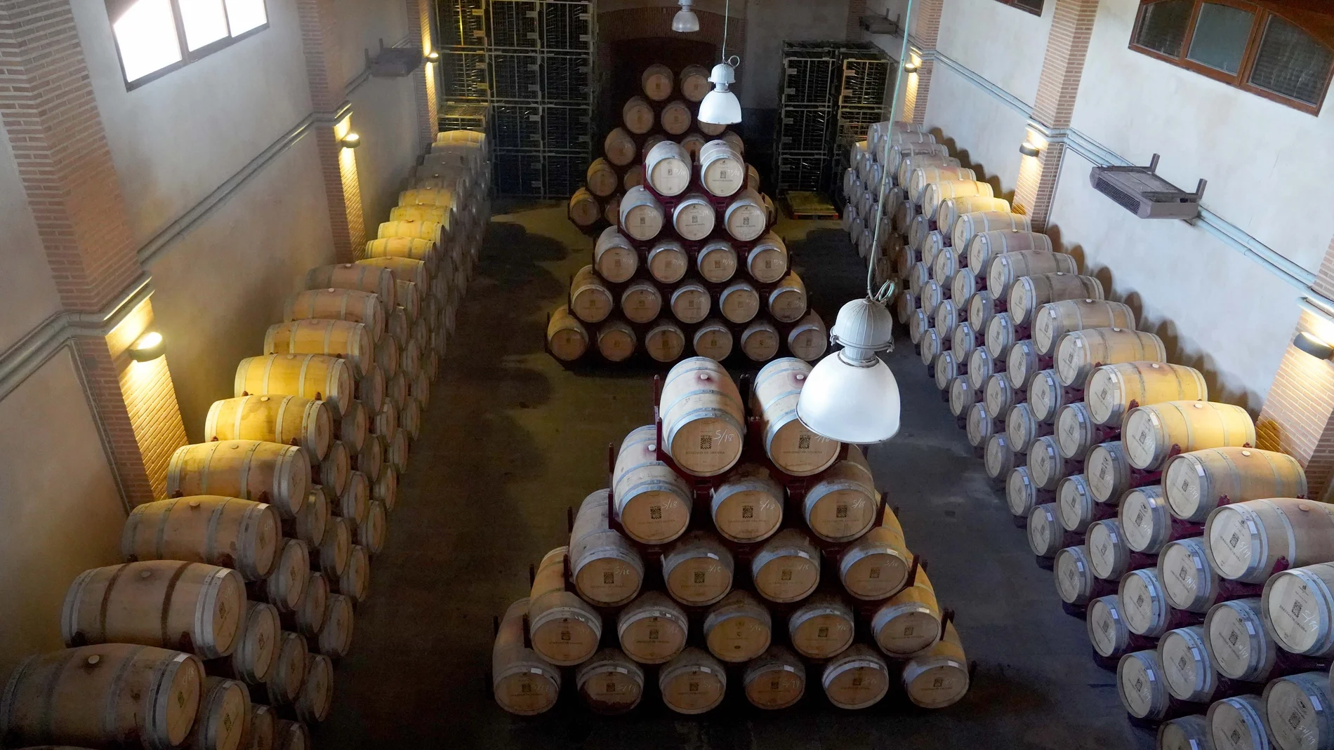 Vendimia en la bodega Heredad de Urueña