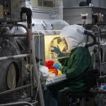 Un científico trabaja en un centro de investigación de un laboratorio español