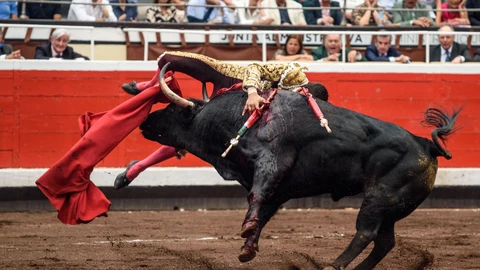El diestro Paco Ureña cogido al entrar a matar