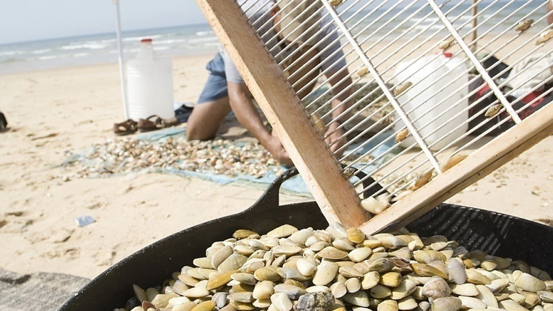 Coquinas en el litoral de Huelva