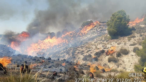 Las llamas han sido bastante llamativas en esta zona de monte bajo