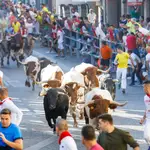 Los astados de la ganadería de Cebada Gago protagonizan el primer encierro de las fiestas de Cuéllar, que no se celebran desde 2019