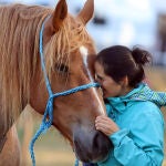 XXXII Concurso-exposición de ganado caballar Hispano-Bretón