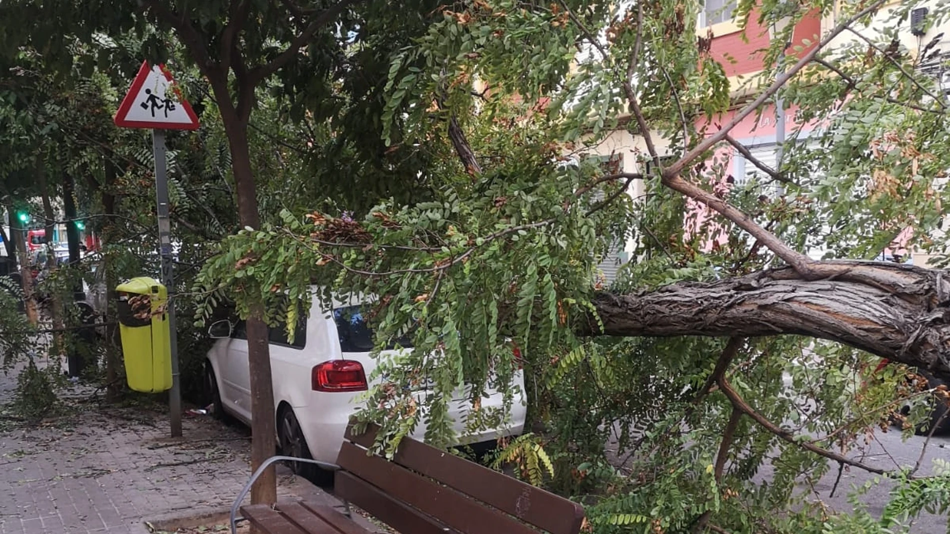 Imagen de un coche sepultado por las ramas de un árbol en Valencia