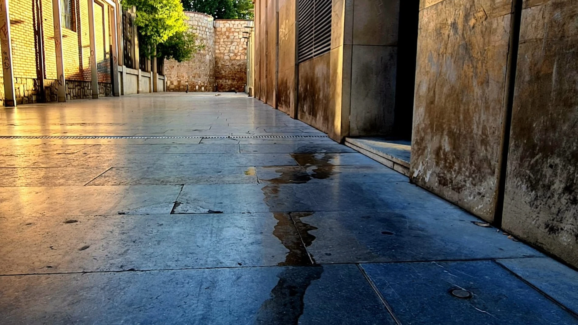 Situación de las calles de León