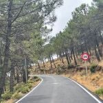 Camino de acceso a Los Reales de Sierra Bermeja. AYTO ESTEPONA