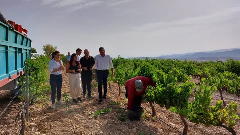 El consejero Antonio Luengo, acompañado por la alcaldesa de Yecla, Remedios Lajara, durante su visita a las labores de vendimia en el municipio del Altiplano. CARM 30/08/2022