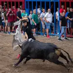  Muere un hombre de 72 años tras sufrir una cogida de toro en Almassora (Castellón)