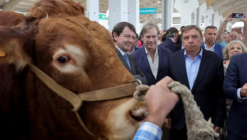 SALAMANCA, 02/09/2022.- El presidente de la Junta de Castilla y León, Alfonso Fernández Mañueco (i) junto al ministro de Agricultura, Alimentación y Medio Ambiente, Luis Planas (d) durante la jornada inaugural del 'Salamaq 22', reúne a más de 460 expositores, situando a la provincia salmantina en el mayor escaparate agroganadero de España. EFE/JM García