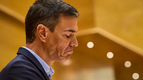 El presidente del Gobierno, Pedro Sánchez, en el pleno del Senado