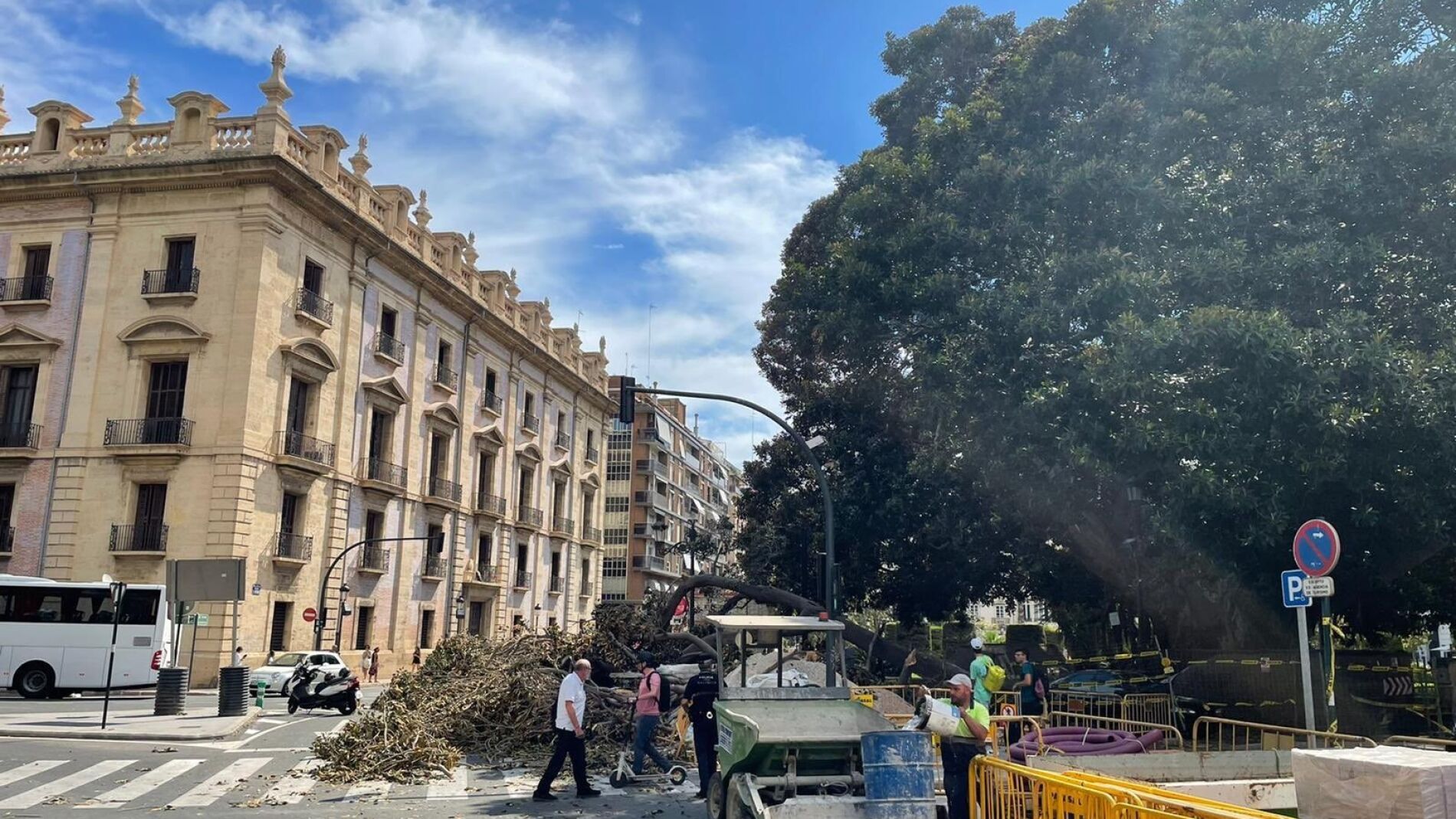 Cuatro Heridos Tras Desplomarse Una Rama De Uno De Los Ficus ...