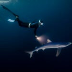 Juandi Alcázar ilumina a uno de los tiburones