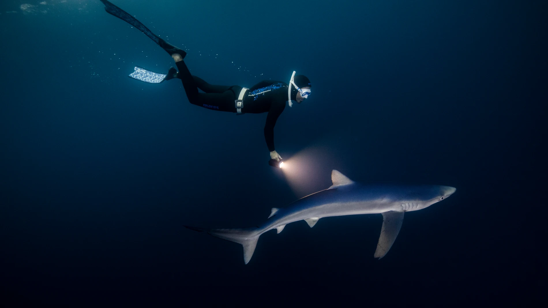 Juandi Alcázar ilumina a uno de los tiburones