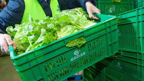 La compañía amplía su centro logístico de producto fresco en su sede central