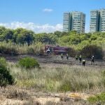 Incendio forestal en El Saler (València)