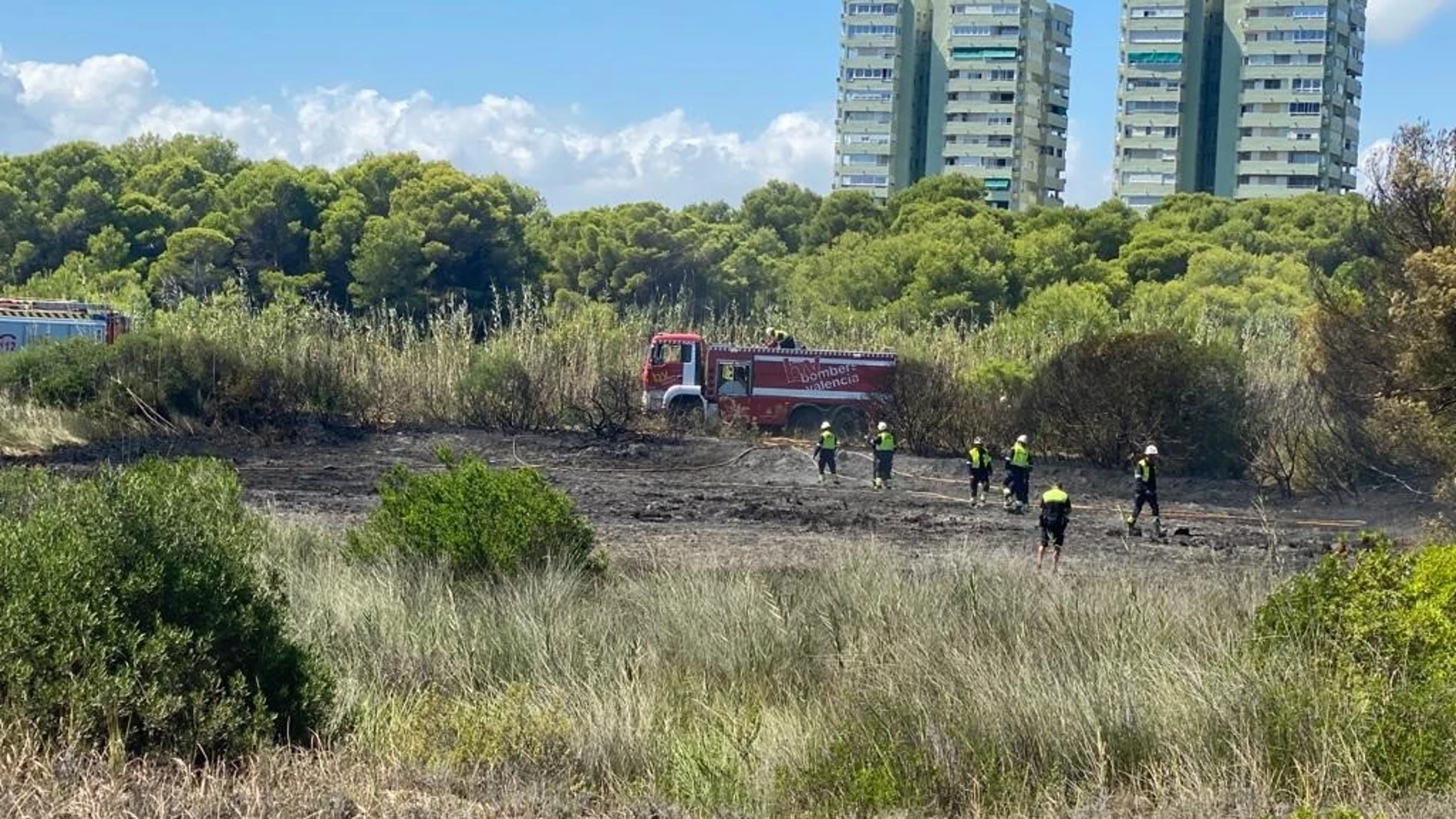 Incendio forestal en El Saler (València)