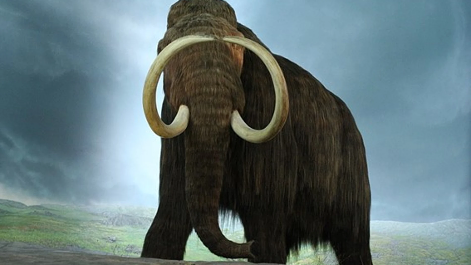 Recreación de un mamut en el Royal British Columbia Museum