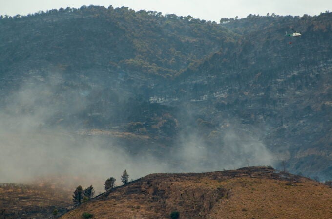 El incendio en el entorno de la Sierra de los Guájares (Granada) está estabilizado