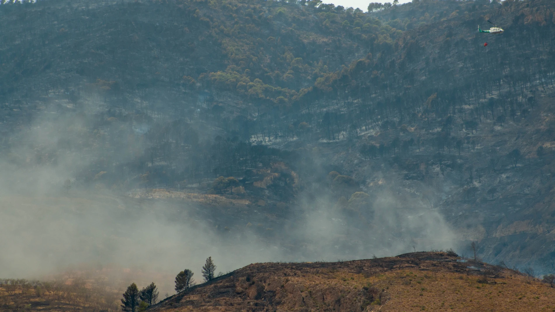 El incendio en el entorno de la Sierra de los Guájares (Granada) está estabilizado