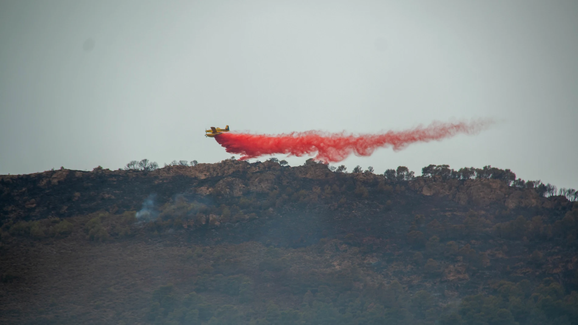 La Junta de Andalucía ha rebajado a las 14.00 horas de este martes de 1 a 0 el nivel de alerta por el incendio forestal