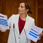 Mónica García portavoz del grupo parlamentario Mas Madrid 