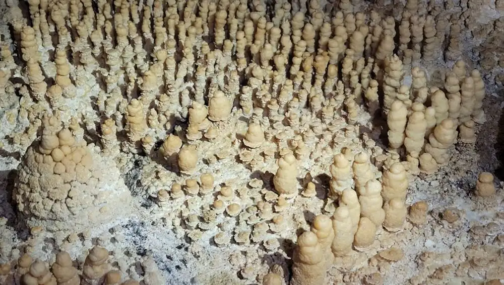 Formaciones conocidas como “finger pools” en la cueva de las estegamitas, La Araña, Málaga.