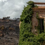Vista general de la zona afectada por el incendio de Los Guájares (Granada). EFE/Alba Feixas