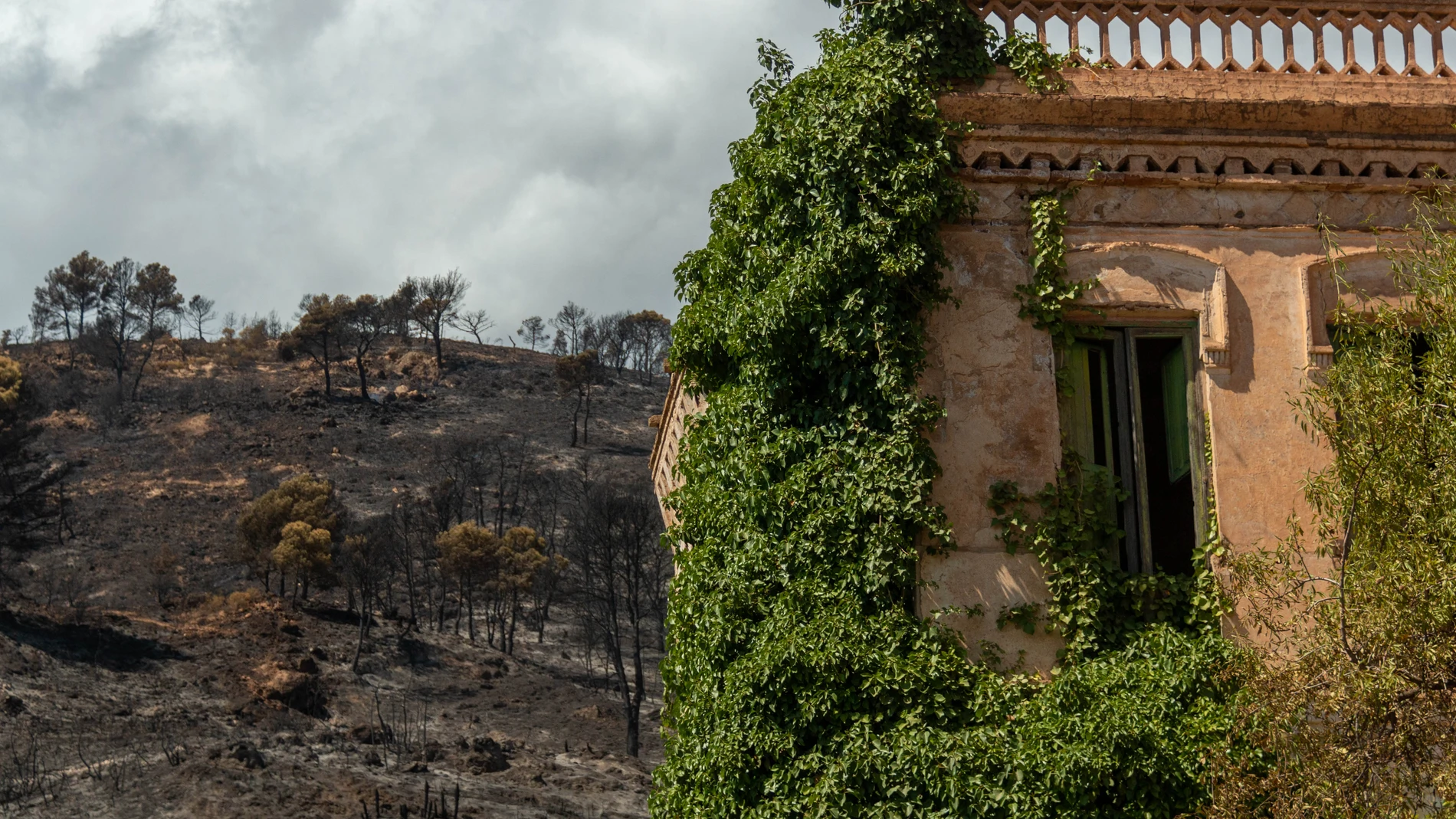 Vista general de la zona afectada por el incendio de Los Guájares (Granada). EFE/Alba Feixas