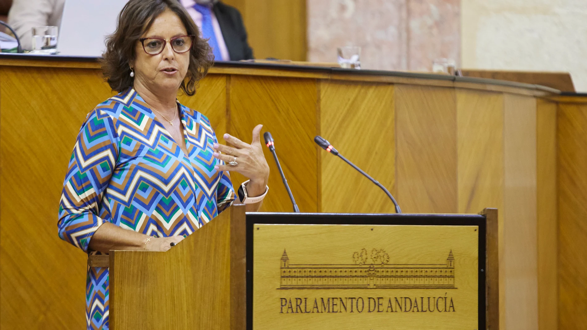 La consejera de Salud y Consumo, Catalina Garcia, en el Parlamento