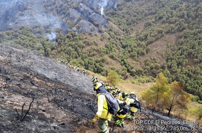 Efectivos del Infoca en la zona del incendio forestal de Los Guájares (Granada)